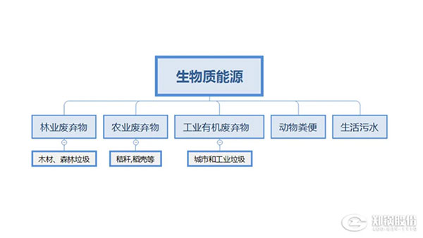 生物质锅炉,生物质能源利用,新机遇