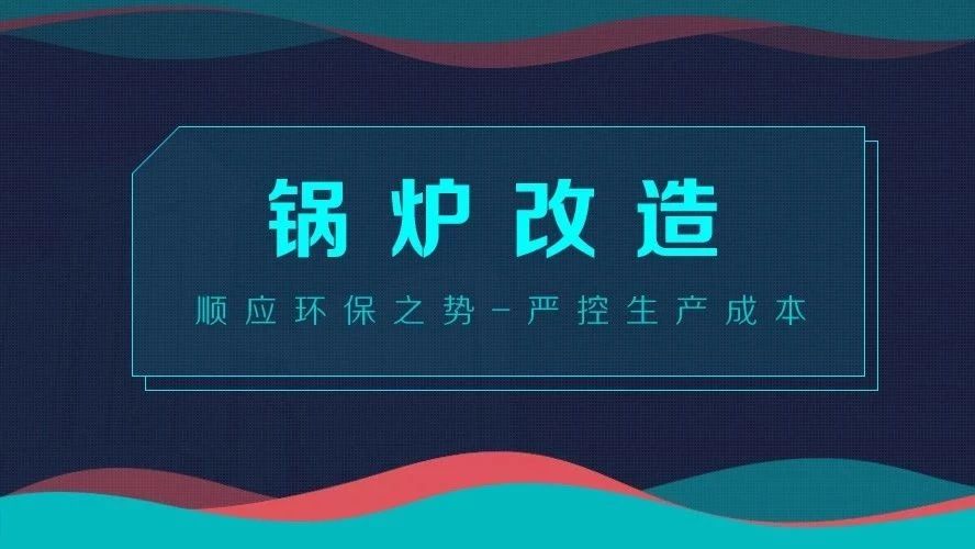 锅炉改造——顺应环保之势，严控生产成本