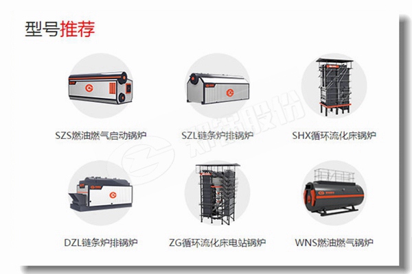 稻壳燃烧蒸汽锅炉纺织工业